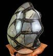 Septarian Dragon Egg Geode - Black Crystals #71988-2